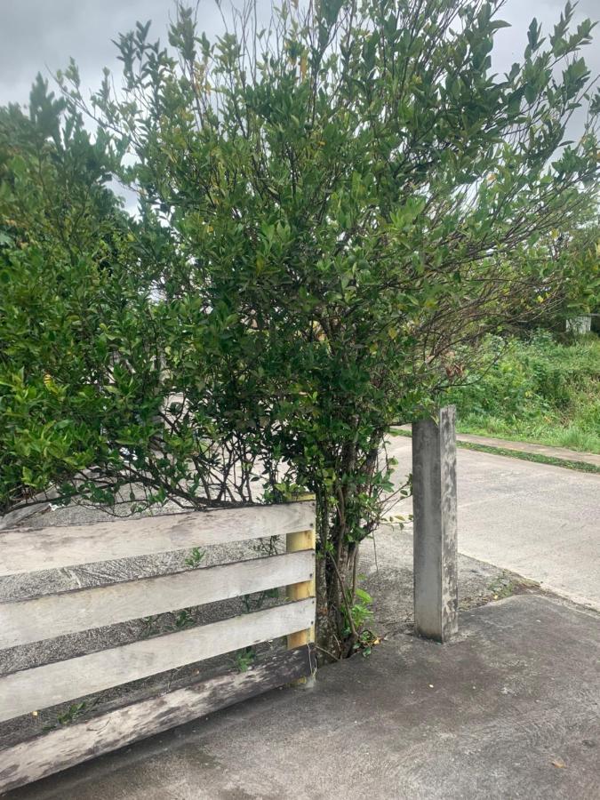 Apartmán Caraibes Loc Ducos Exteriér fotografie